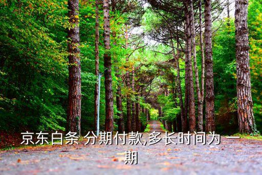 京東白條 分期付款,多長時間為 一期