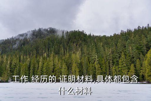 工作 經(jīng)歷的 證明材料,具體都包含什么材料