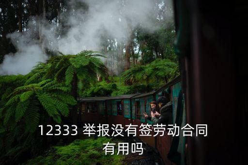  12333 舉報(bào)沒(méi)有簽勞動(dòng)合同 有用嗎