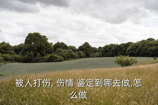 被人打傷, 傷情 鑒定到哪去做,怎么做