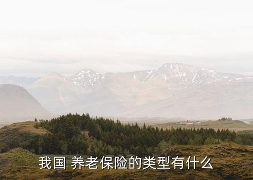 我國 養(yǎng)老保險的類型有什么