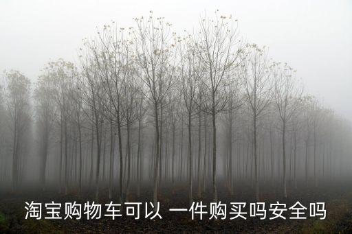 淘寶購(gòu)物車(chē)可以 一件購(gòu)買(mǎi)嗎安全嗎