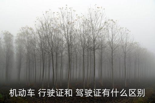 機(jī)動車 行駛證和 駕駛證有什么區(qū)別