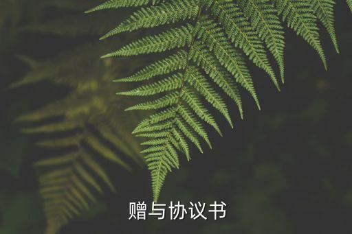  贈(zèng)與協(xié)議書(shū)