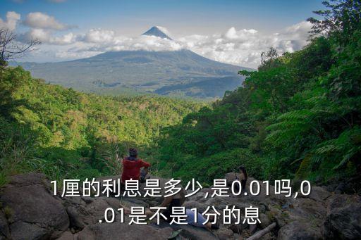 1厘的利息是多少,是0.01嗎,0.01是不是1分的息