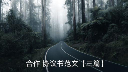  合作 協(xié)議書(shū)范文【三篇】