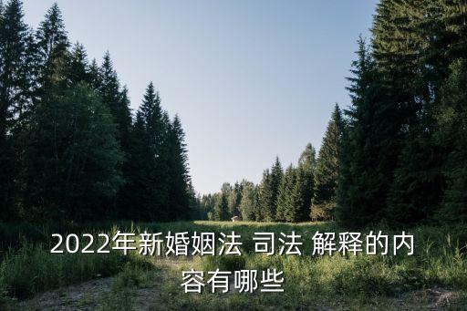 2022年新婚姻法 司法 解釋的內(nèi)容有哪些