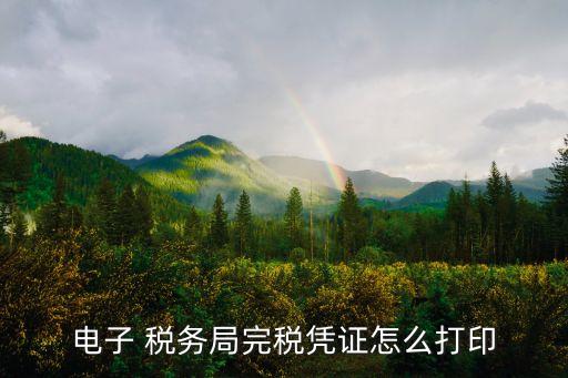電子 稅務(wù)局完稅憑證怎么打印
