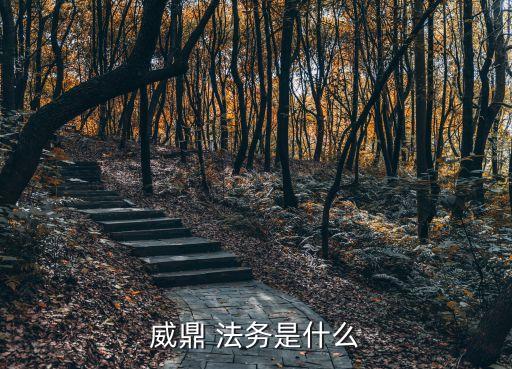 威鼎 法務(wù)是什么