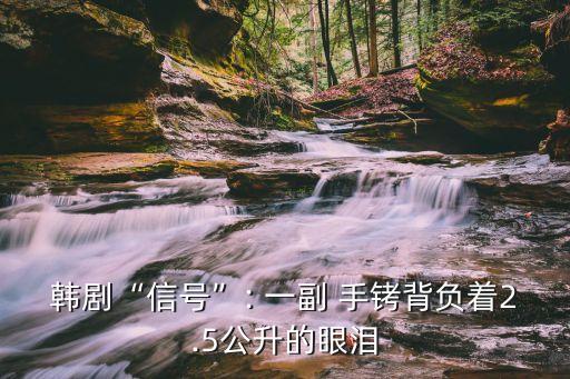 韓劇“信號”: 一副 手銬背負(fù)著2.5公升的眼淚