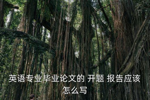 商務(wù)合同翻譯的開題報告怎么寫,翻譯實踐開題報告怎么寫