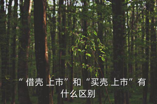 什么是借殼上市