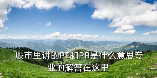  股市里講的PE和PB是什么意思專業(yè)的解答在這里