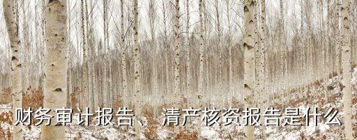 清產(chǎn)核資什么意思,村委會清產(chǎn)核資什么意思