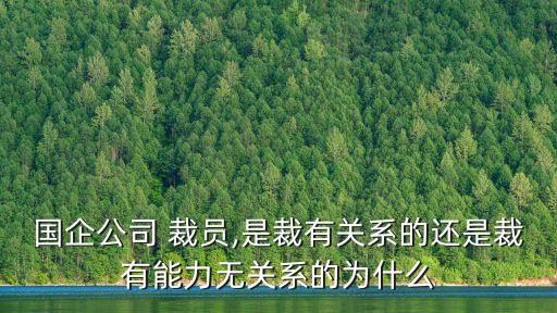 國企公司 裁員,是裁有關(guān)系的還是裁有能力無關(guān)系的為什么