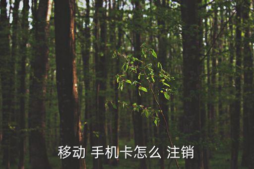 手機(jī)號(hào)碼如何注銷(xiāo),身份證名下的手機(jī)號(hào)碼如何注銷(xiāo)