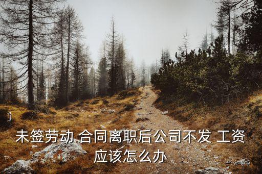 未簽勞動(dòng) 合同離職后公司不發(fā) 工資應(yīng)該怎么辦