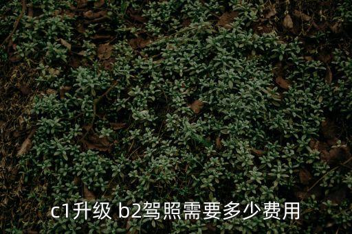 c1升級 b2駕照需要多少費用