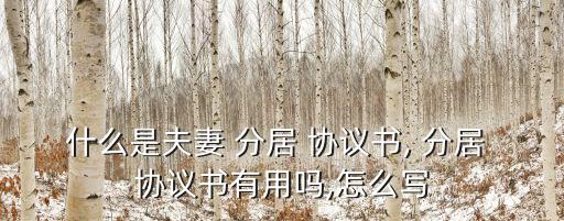 什么是夫妻 分居 協(xié)議書, 分居 協(xié)議書有用嗎,怎么寫