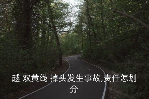 越 雙黃線 掉頭發(fā)生事故,責(zé)任怎劃分