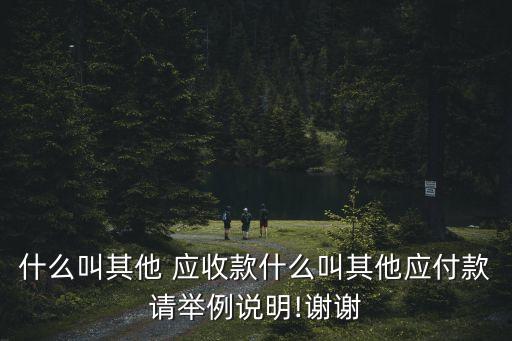 其他應(yīng)收款包括哪些內(nèi)容,營(yíng)業(yè)外收入包括哪些內(nèi)容