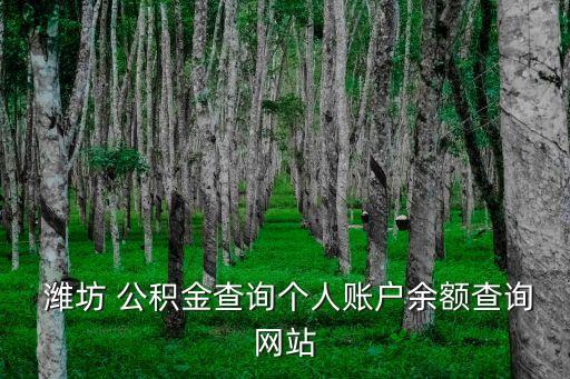  濰坊 公積金查詢個人賬戶余額查詢網(wǎng)站