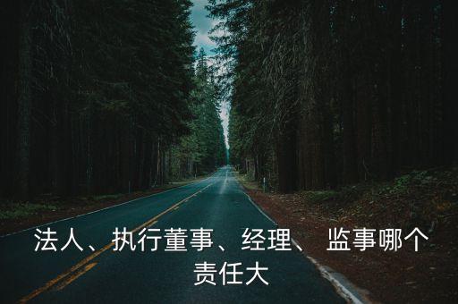  法人、執(zhí)行董事、經(jīng)理、 監(jiān)事哪個 責(zé)任大