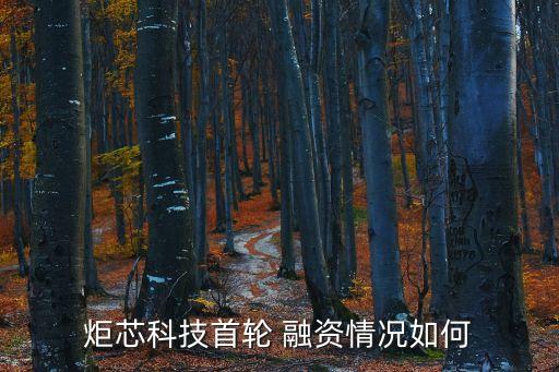 融資凈買入