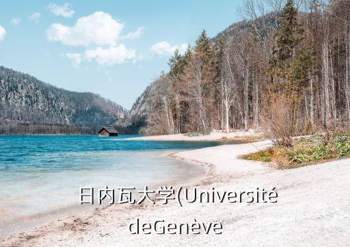 瑞士日內(nèi)瓦大學(xué)