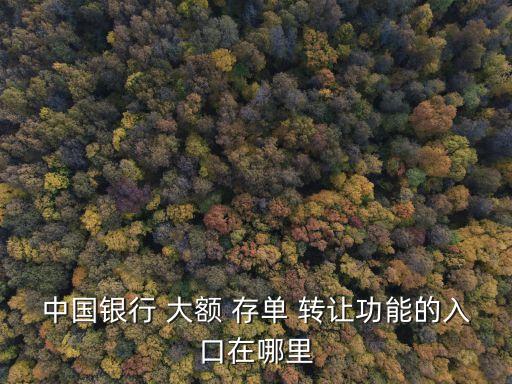 中國(guó)銀行 大額 存單 轉(zhuǎn)讓功能的入口在哪里