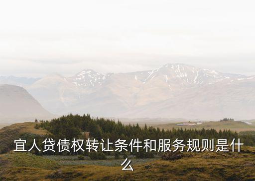 宜人貸合同有什么法律