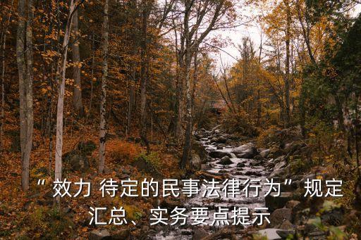 “ 效力 待定的民事法律行為”規(guī)定匯總、實務(wù)要點提示
