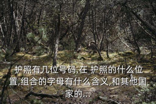  護(hù)照有幾位號(hào)碼,在 護(hù)照的什么位置,組合的字母有什么含義,和其他國家的...