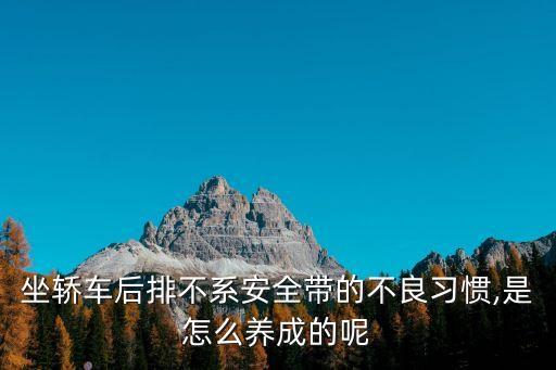 坐轎車后排不系安全帶的不良習(xí)慣,是怎么養(yǎng)成的呢