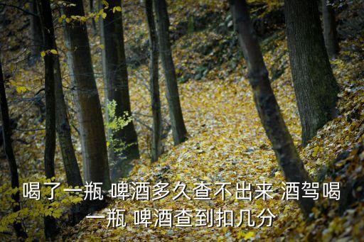 一瓶啤酒能查出酒駕嗎,醉駕2023年新規(guī)放寬