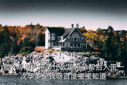 什么是代孕,試管代懷生子助孕機(jī)構(gòu)多少錢