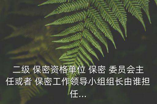 二級(jí) 保密資格單位 保密 委員會(huì)主任或者 保密工作領(lǐng)導(dǎo)小組組長(zhǎng)由誰擔(dān)任...