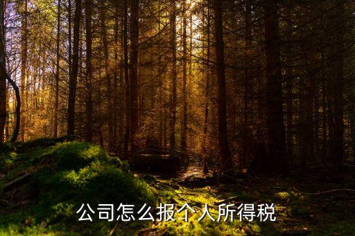 公司怎么報個人所得稅