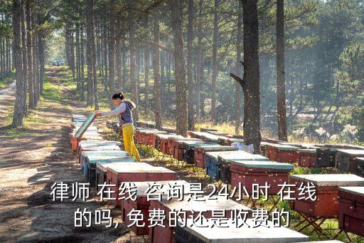  律師 在線 咨詢是24小時 在線的嗎, 免費的還是收費的