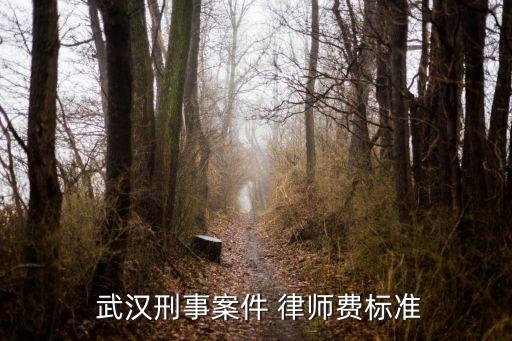  武漢刑事案件 律師費(fèi)標(biāo)準(zhǔn)