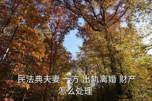 民法典一方出軌財(cái)產(chǎn)