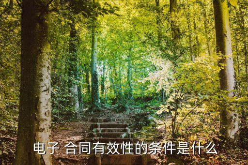 什么樣的電子合同法律會(huì)承認(rèn),電子合同長(zhǎng)什么樣