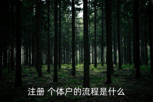 注冊 個體戶的流程是什么