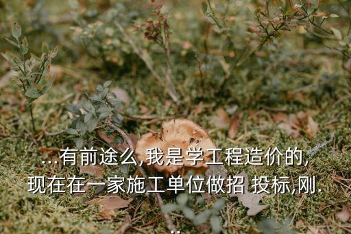 ...有前途么,我是學(xué)工程造價(jià)的,現(xiàn)在在一家施工單位做招 投標(biāo),剛...