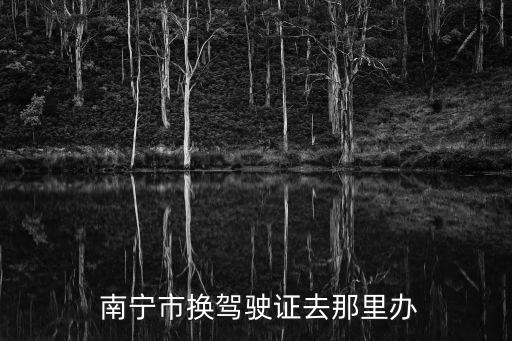  南寧市換駕駛證去那里辦