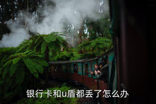 銀行卡和u盾都丟了怎么辦