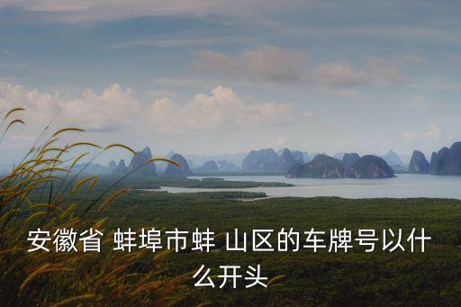 蚌埠蚌山區(qū)