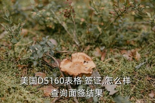 美國簽證狀態(tài)查詢,ceac美國簽證狀態(tài)查詢