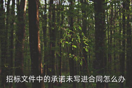 招標文件中的承諾未寫進合同怎么辦