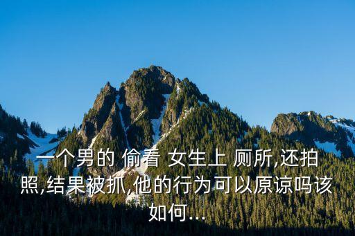 偷看女生上廁所,便攜式視頻內(nèi)窺鏡